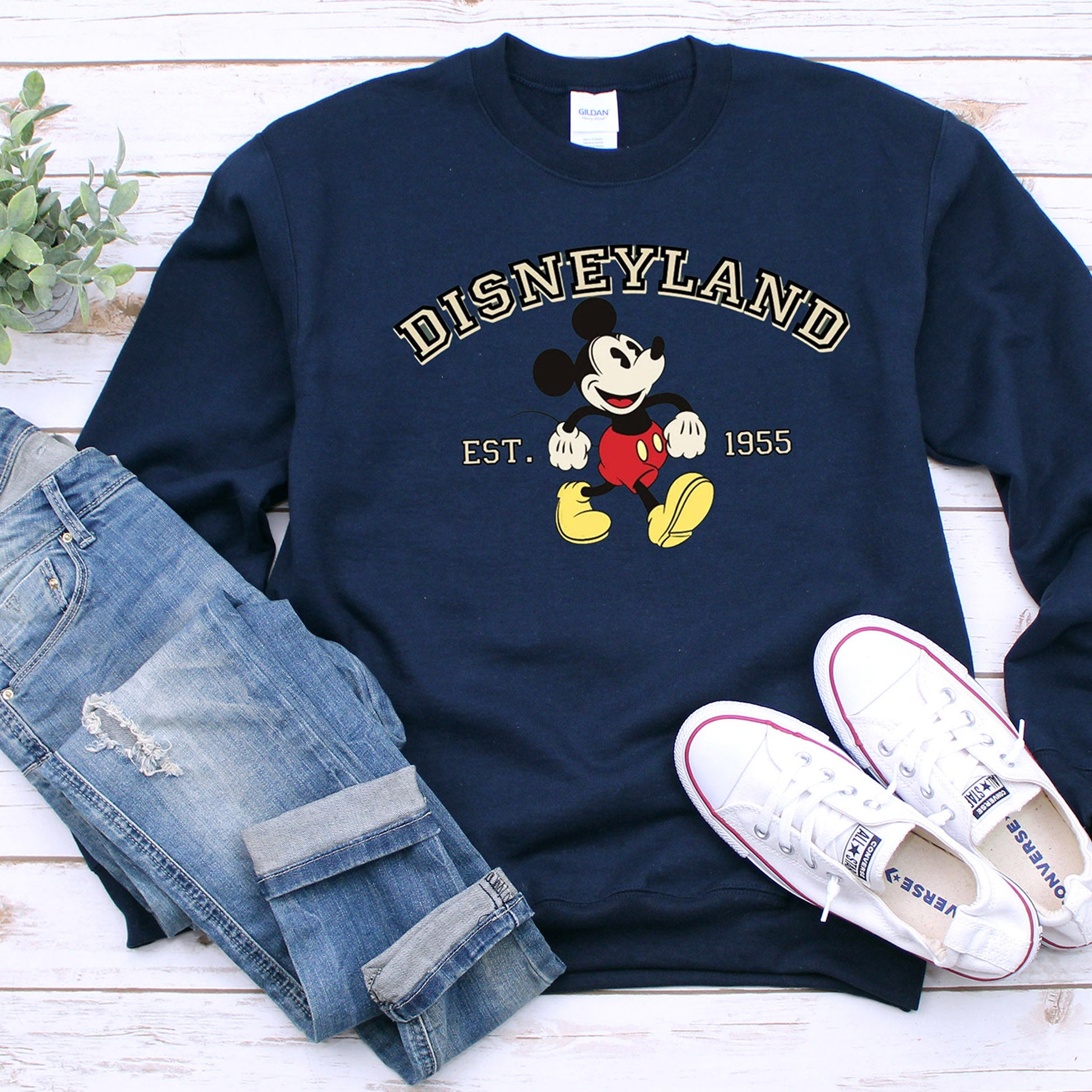 Grey disneyland hot sale sweatshirt